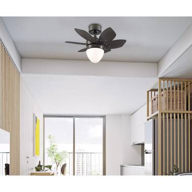 Ciata Lighting 24'' Ceiling Fan with LED Lights | Wayfair